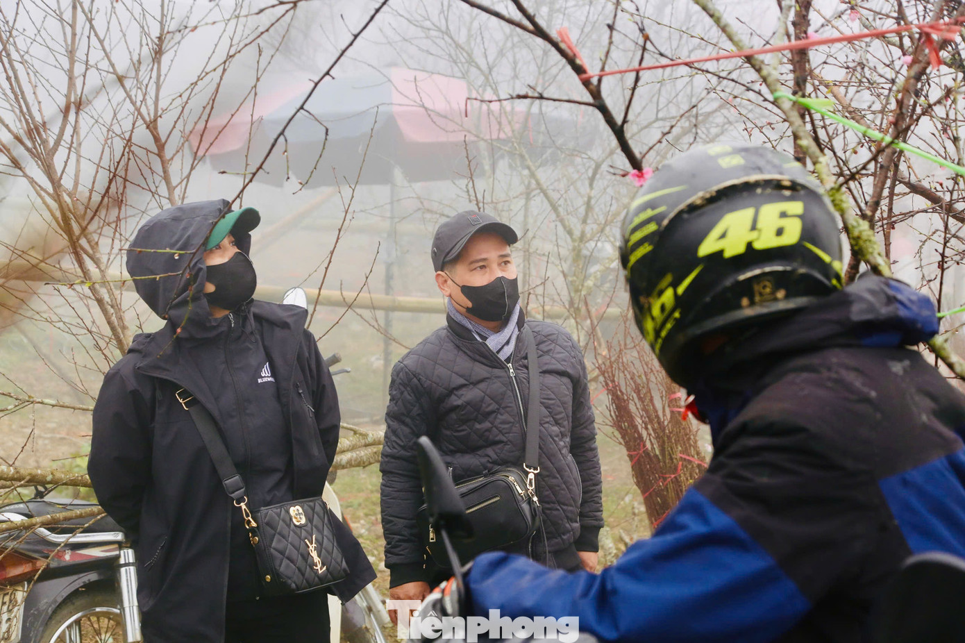 Giáp Tết cũng là dịp du khách đổ về Mộc Châu ngày càng nhiều hơn, mọi người có thể vừa ngắm cảnh, vừa có thể chọn mua những cành đào, mận ưng ý nhất về tặng người thân, bạn bè hay để trang trí trong nhà. Giáp Tết cũng là dịp du khách đổ về Mộc Châu ngày càng nhiều hơn, mọi người có thể vừa ngắm cảnh, vừa có thể chọn mua những cành đào, mận ưng ý nhất về tặng người thân, bạn bè hay để trang trí trong nhà.