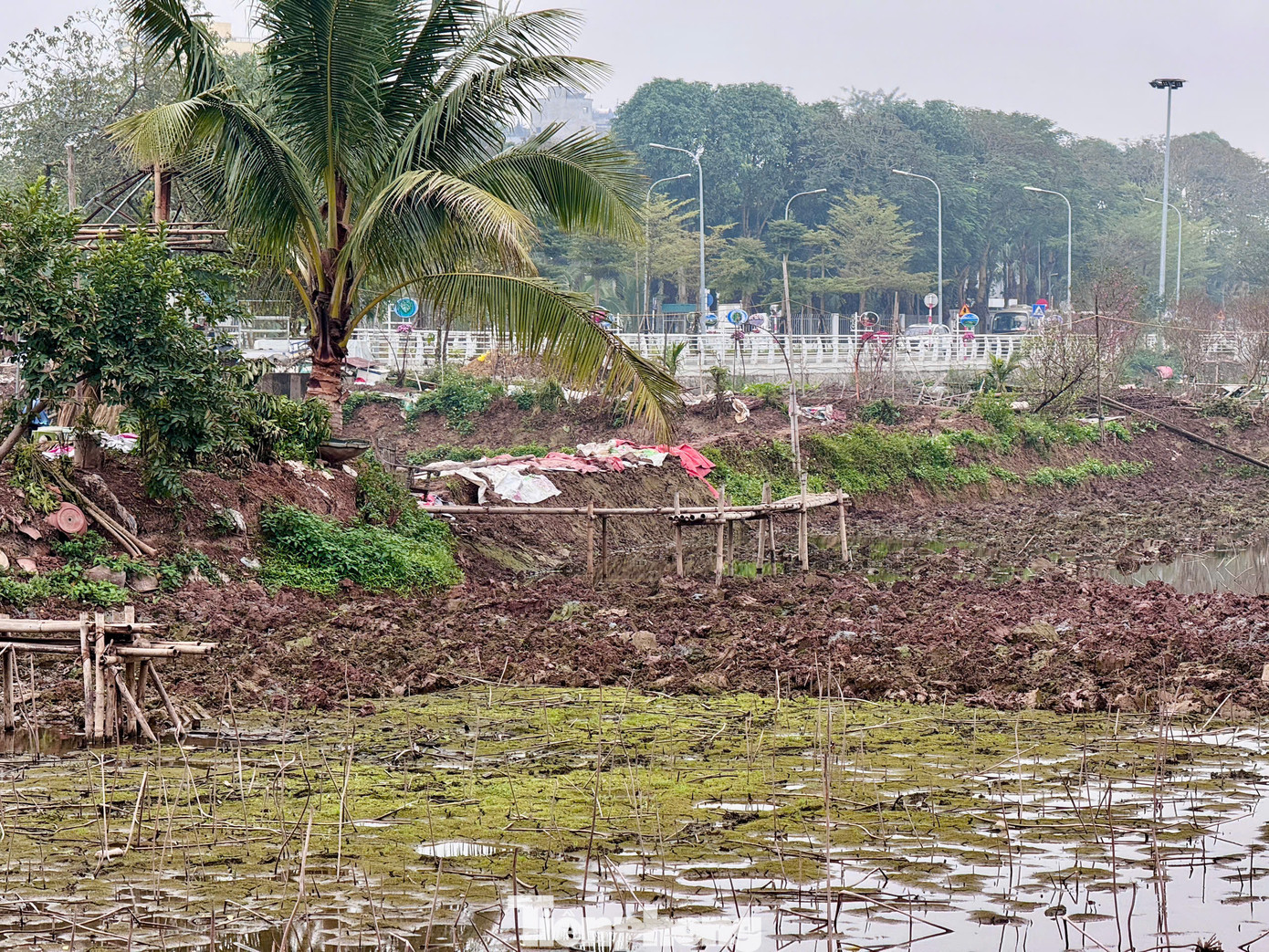 Thông tin về hồ Sen, vị này cho biết, hồ có diện tích khoảng 5,2ha, được Sở Tài nguyên và Môi trường Hà Nội giao cho Công ty Cổ phần đầu tư khai thác Hồ Tây thuê 20 năm. Đơn vị này sử dụng và trả tiền thuê đất hàng năm. Thông tin về hồ Sen, vị này cho biết, hồ có diện tích khoảng 5,2ha, được Sở Tài nguyên và Môi trường Hà Nội giao cho Công ty Cổ phần đầu tư khai thác Hồ Tây thuê 20 năm. Đơn vị này sử dụng và trả tiền thuê đất hàng năm.