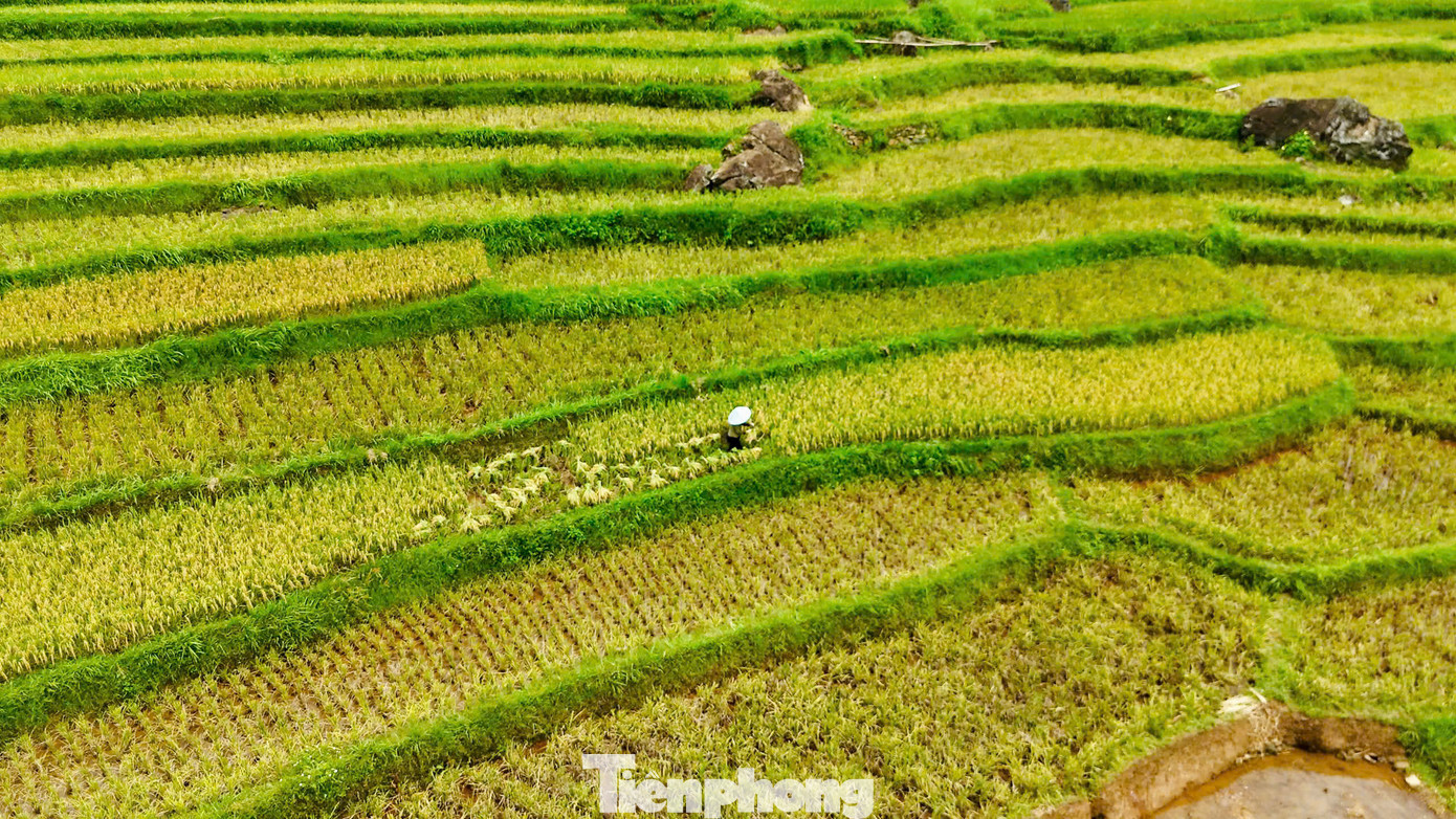 Thời tiết Pù Luông mùa này có chút se lạnh về đêm và sáng. Sáng sớm có thể ngắm cảnh tượng mây vần vũ, sương mù bay thấp, khung cảnh lên hình rất thơ mộng. Nếu muốn chụp có nắng vàng nhè nhẹ, sau 14h lúc này sương đã tan dần hết, cảnh vật cũng trở nên rõ nét hơn. Thời tiết Pù Luông mùa này có chút se lạnh về đêm và sáng. Sáng sớm có thể ngắm cảnh tượng mây vần vũ, sương mù bay thấp, khung cảnh lên hình rất thơ mộng. Nếu muốn chụp có nắng vàng nhè nhẹ, sau 14h lúc này sương đã tan dần hết, cảnh vật cũng trở nên rõ nét hơn.