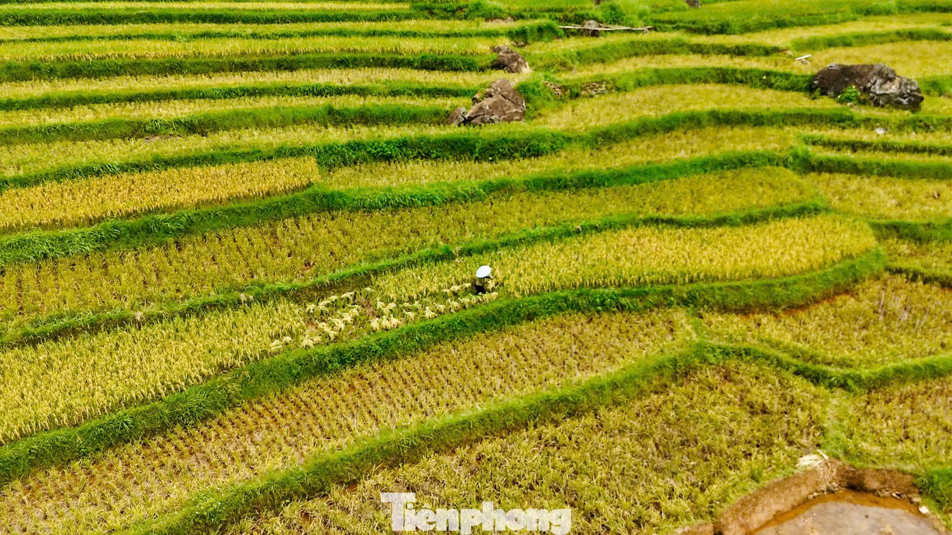 Thời tiết Pù Luông mùa này có chút se lạnh về đêm và sáng. Sáng sớm có thể ngắm cảnh tượng mây vần vũ, sương mù bay thấp, khung cảnh lên hình rất thơ mộng. Nếu muốn chụp có nắng vàng nhè nhẹ, sau 14h lúc này sương đã tan dần hết, cảnh vật cũng trở nên rõ nét hơn.