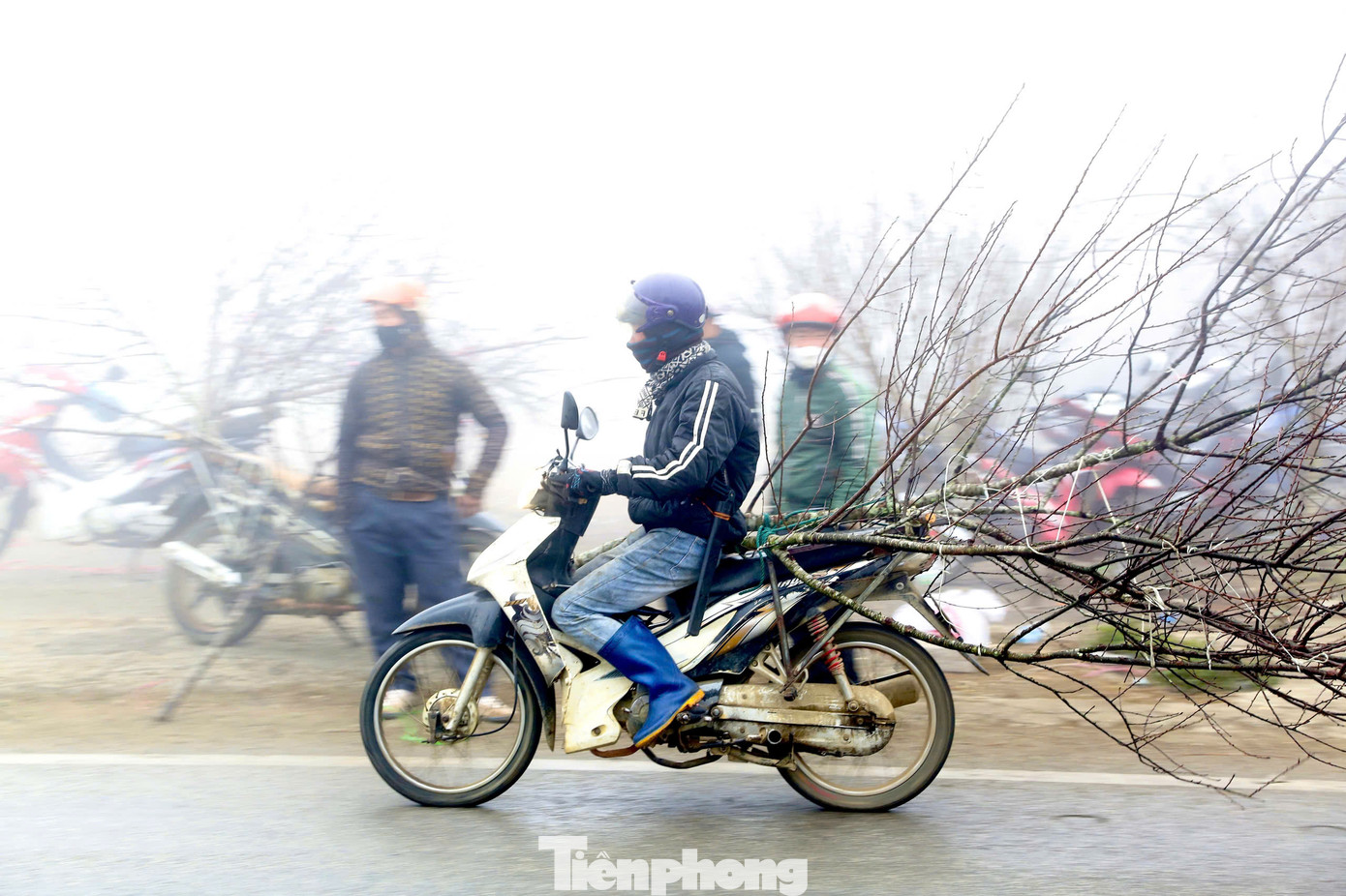 Từ đây, thương lái có thể tiếp tục chở về xuôi để phục vụ nhu cầu chơi Tết của người dân. Từ đây, thương lái có thể tiếp tục chở về xuôi để phục vụ nhu cầu chơi Tết của người dân.