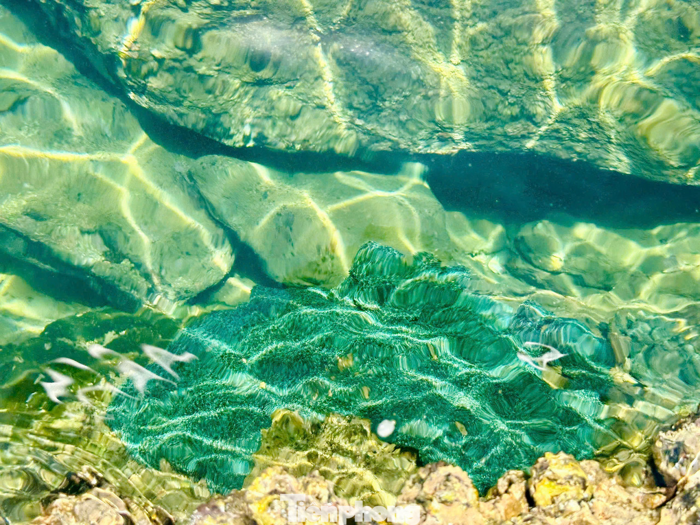 Bàn Than được ví như bảo tàng tự nhiên, phản ánh quá trình phát triển địa chất. Đá phiến ở đây không chỉ bộc lộ trên diện rộng mà còn được sóng biển và gió mài mòn rất sắc nét. Trên bề mặt các ghềnh đá, thềm đá có những đường nét lạ mắt, cuốn hút.