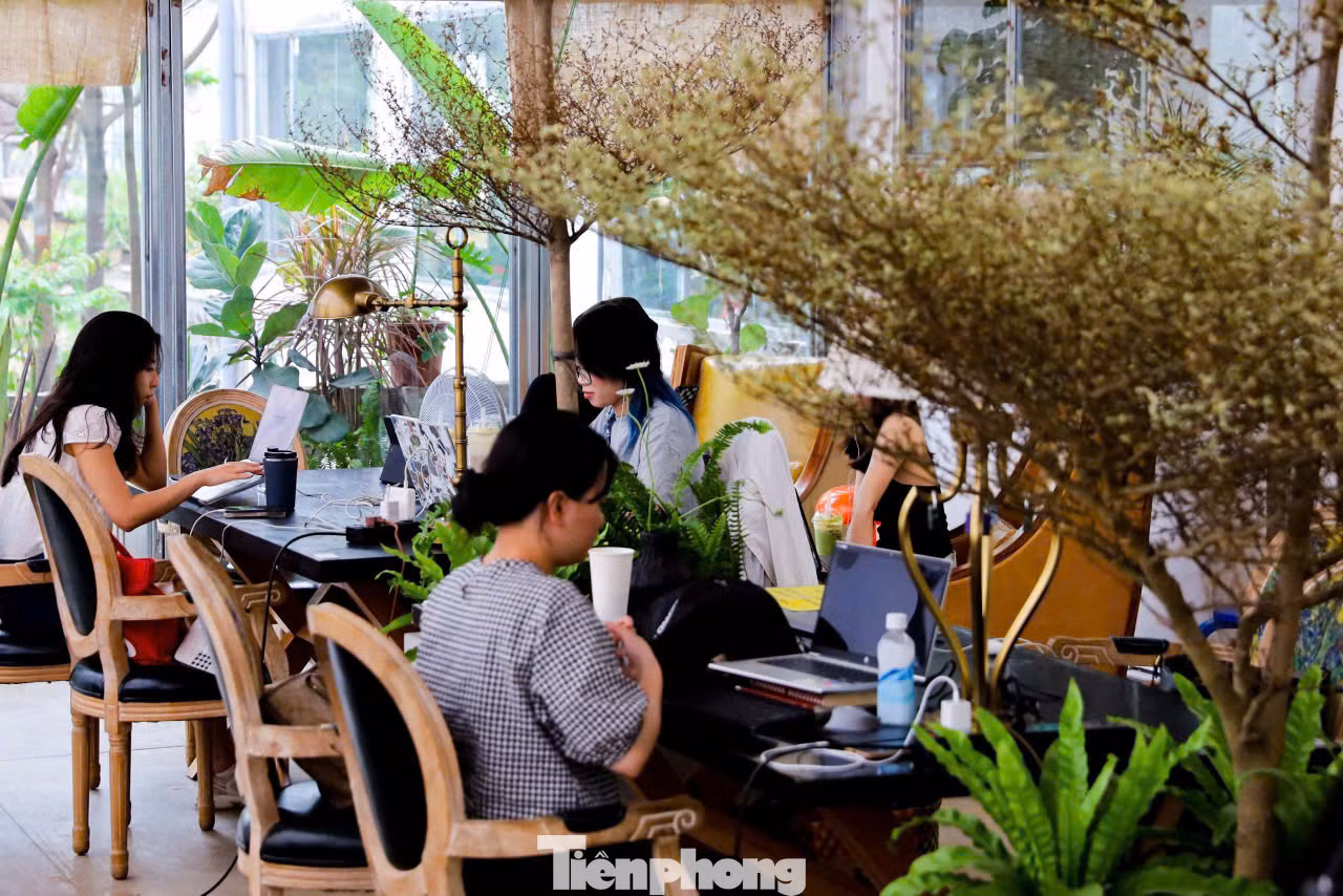 Tầng 3 mang đến không gian linh hoạt, nơi các bạn trẻ có thể thoải mái trao đổi công việc, làm việc nhóm hoặc thư giãn.