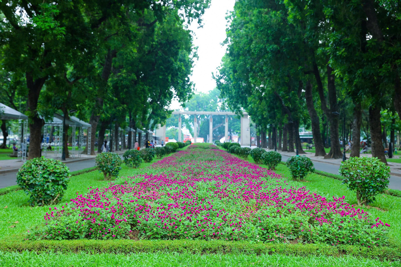 Cảnh quan hài hòa giữa cây xanh, thảm hoa và mặt nước mang lại cảm giác thư thái, dễ chịu giữa lòng thành phố giữa ngày hè oi bức.