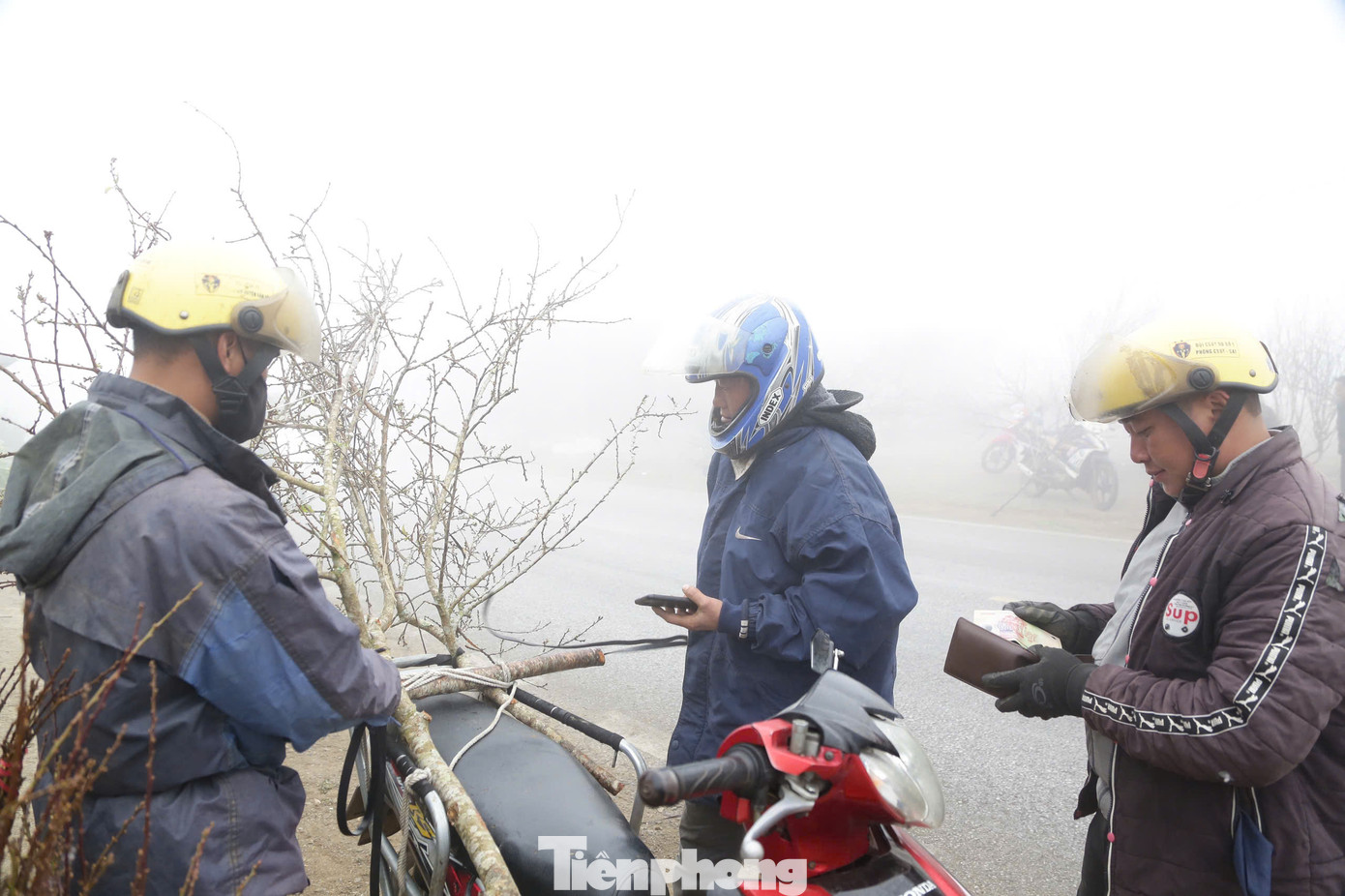 Giáp Tết cũng là dịp du khách đổ về Mộc Châu ngày càng nhiều hơn, mọi người có thể vừa ngắm cảnh, vừa có thể chọn mua những cành đào, mận ưng ý nhất về tặng người thân, bạn bè hay để trang trí trong nhà. Giáp Tết cũng là dịp du khách đổ về Mộc Châu ngày càng nhiều hơn, mọi người có thể vừa ngắm cảnh, vừa có thể chọn mua những cành đào, mận ưng ý nhất về tặng người thân, bạn bè hay để trang trí trong nhà.
