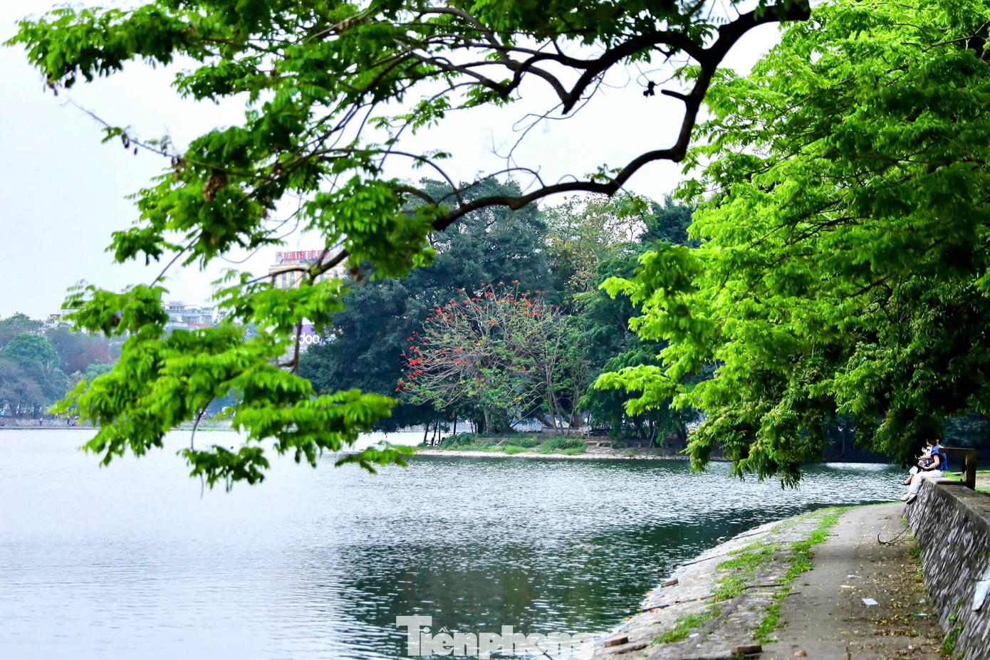 Không gian xanh mát rộng hơn 50ha vẫn phát huy tốt công năng sử dụng, khẳng định là vai trò "lá phổi xanh" không thể thay thế của Thủ đô trong nhiều năm qua. Công viên Thống Nhất từ lâu đã trở thành điểm tựa tinh thần - nơi con người được sống chậm lại, kết nối với thiên nhiên, và cảm nhận giá trị của sự sum họp, của hòa bình. Tối 27/4/2025, tại khu vực sân khấu Đa năng Công viên Thống Nhất sẽ là điểm bắn pháo hoa trong khuôn khổ chương trình Cầu truyền hình trực tiếp toàn quốc “Vang mãi khúc khải hoàn”. Màn trình diễn pháo hoa không chỉ là nghệ thuật ánh sáng mà còn là biểu tượng cho tinh thần dân tộc, cho khát vọng hòa bình và thống nhất bền vững.