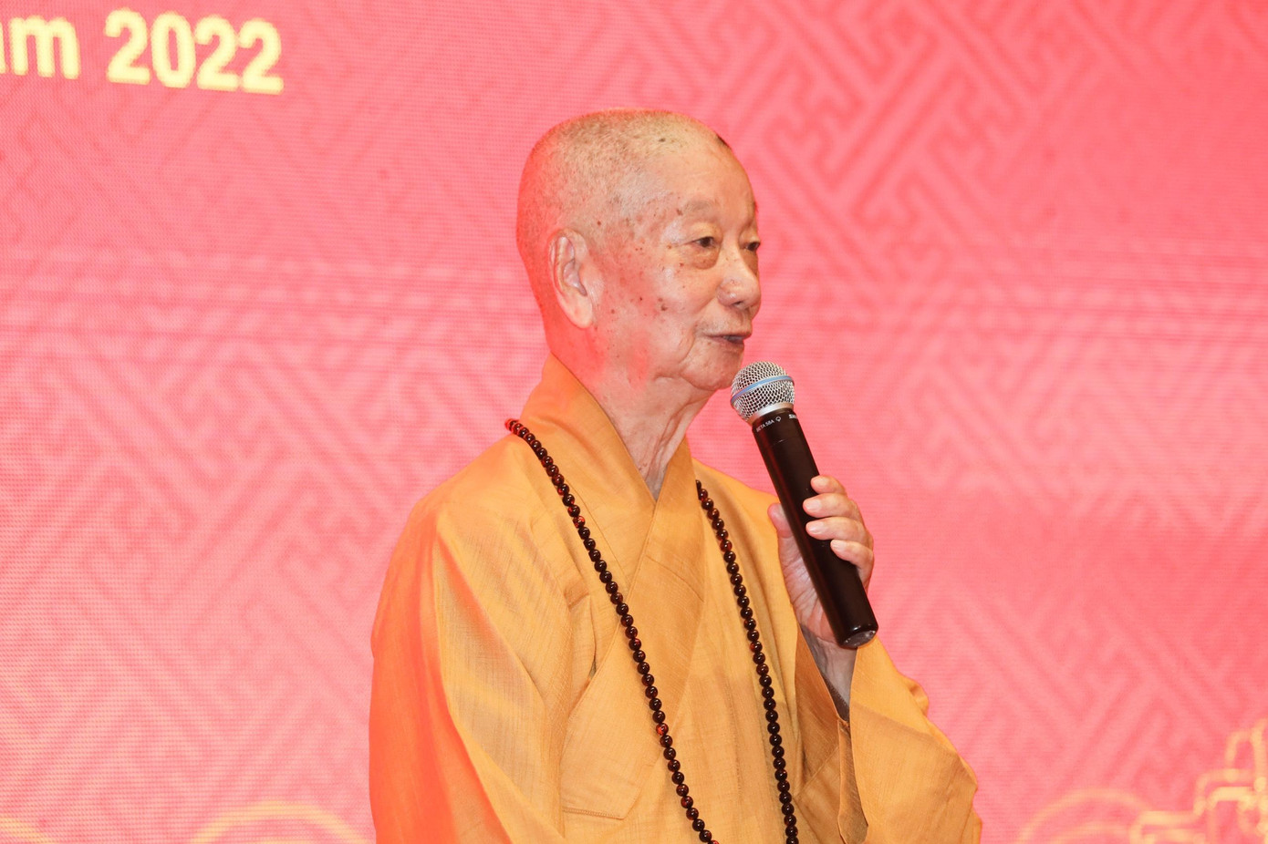 Đức Pháp chủ Thích Trí Quảng ban đạo từ sau lễ suy tôn.