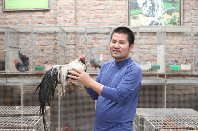 Anh Nam bên một chú gà có phần đuôi dài đẹp mắt.