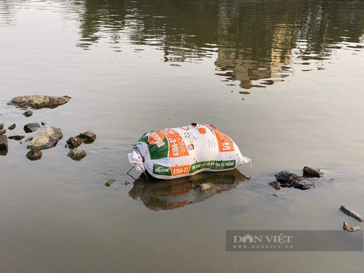 Xác động vật trong chiếc tải buộc kín đang mắc cạn trên sông Đáy, dưới chân cầu Hòa Viên. Ảnh chụp ngày 21/11/2022: Văn Hoàng