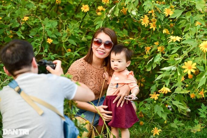 Vườn Quốc gia Ba Vì từ lâu trở thành địa điểm "săn" hoa dã quỳ nổi tiếng, thu hút rất đông du khách. (Ảnh: Toàn Vũ).