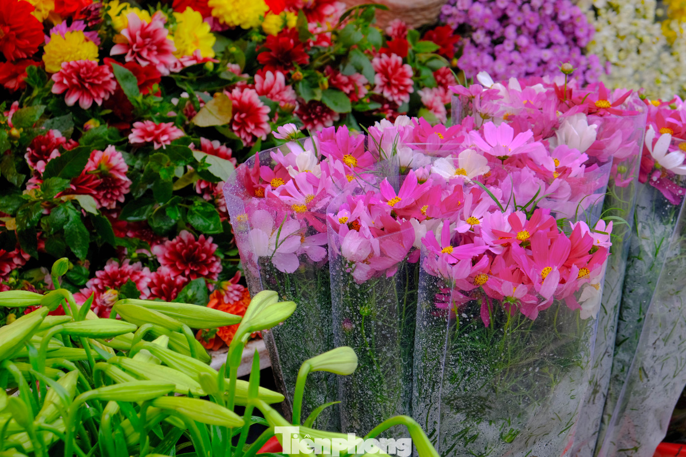 Tạp chí Time Out cũng nhắc tới chợ hoa Quảng An, cách khu phố cùng tên khoảng 1 km. Đây là nơi tập hợp hàng trăm loài hoa tươi, phân phối cho các tiểu thương trên địa bàn thành phố Hà Nội và một số tỉnh phía Bắc.