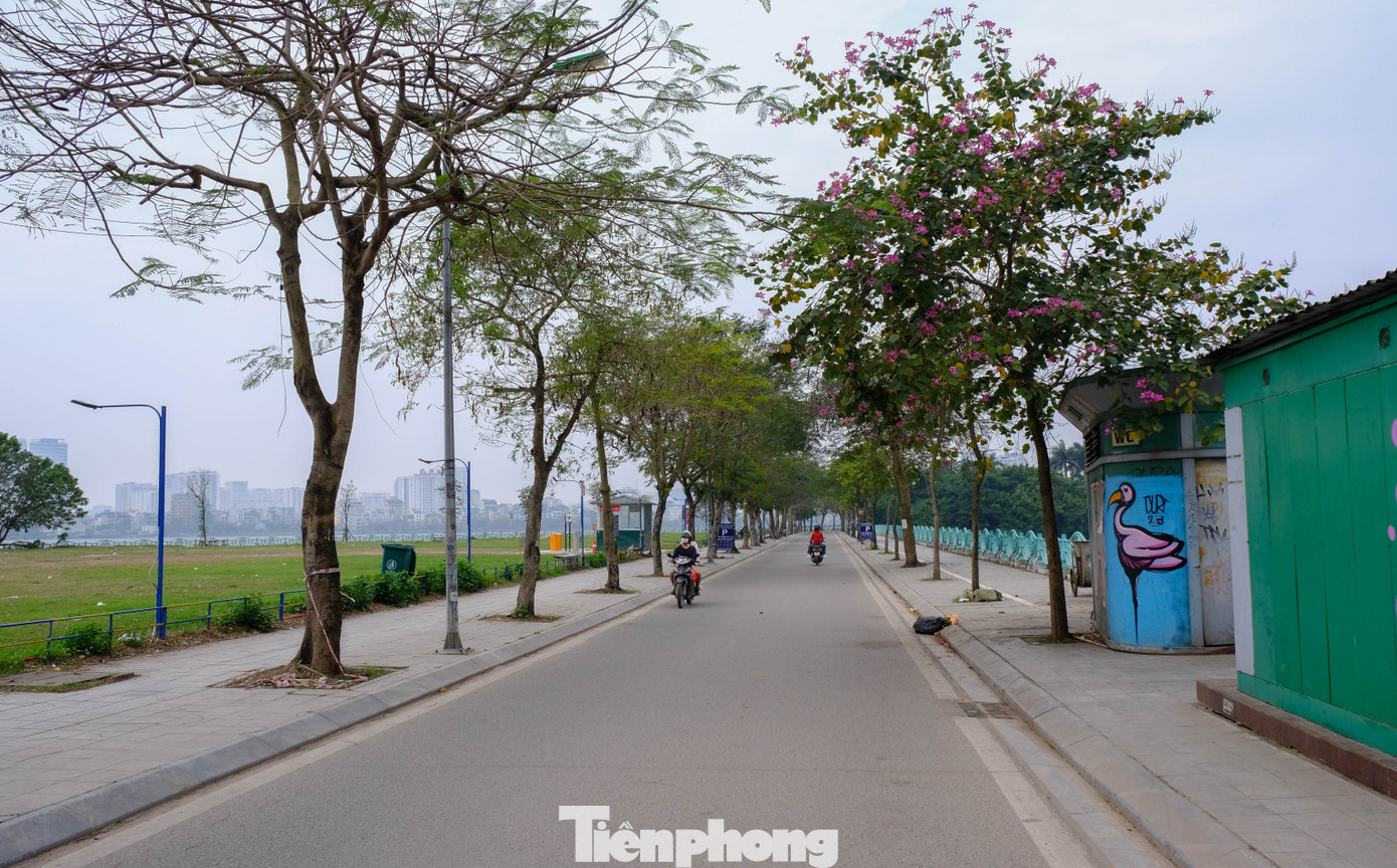 Cũng vì có không khí trong lành nên khu phố Quảng An tập trung nhiều du khách quốc tế, người dân đi dạo, đạp xe.