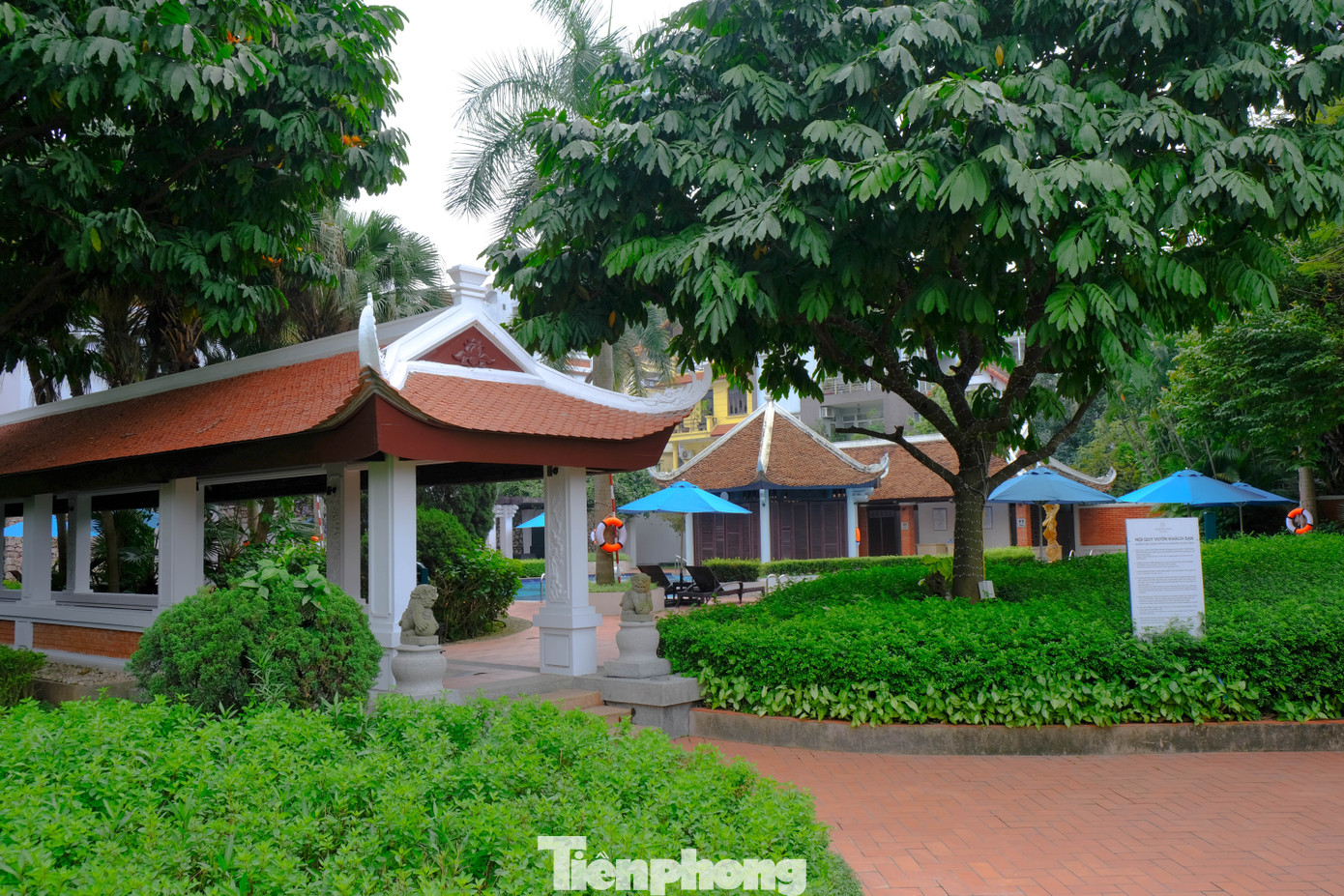 Các cơ sở lưu trú từ hạng bình dân đến khách sạn 5 sao ở quanh khu phố Quảng An khiến địa điểm này tập trung nhiều du khách quốc tế.