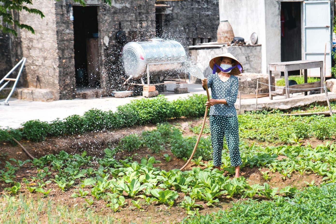 Nguồn nước sạch giúp người dân nâng cao chất lượng trồng trọt, thúc đẩy kinh tế gia đình