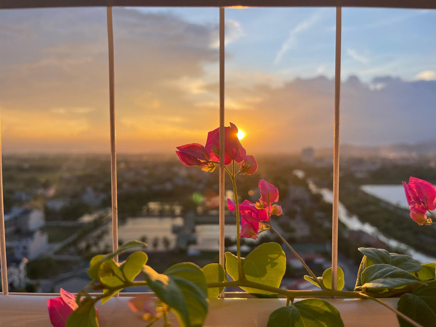 Khung cảnh càng thêm hữu tình với ban công phủ đầy hoa, cây cảnh làm khu vực thưởng trà