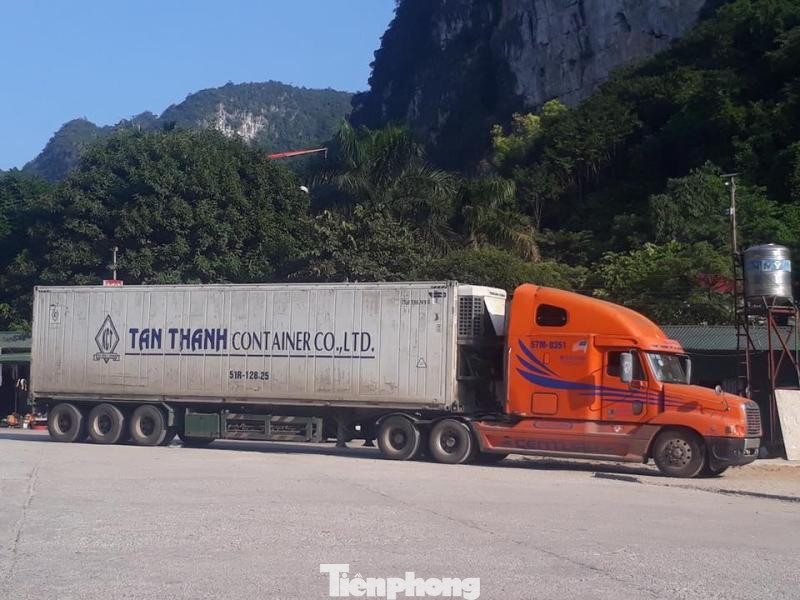 Chuyên án mang bí số 116T và 12 tấn pháo lậu trong xe container hành tây ảnh 3