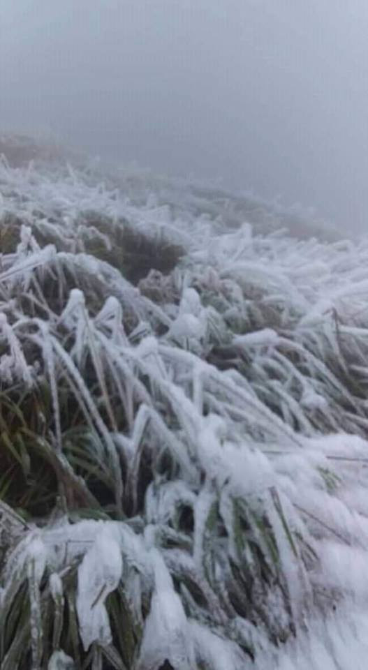 'Thiên đường cỏ lau' Lạng Sơn 'khoác' băng tuyết đón năm mới ảnh 2