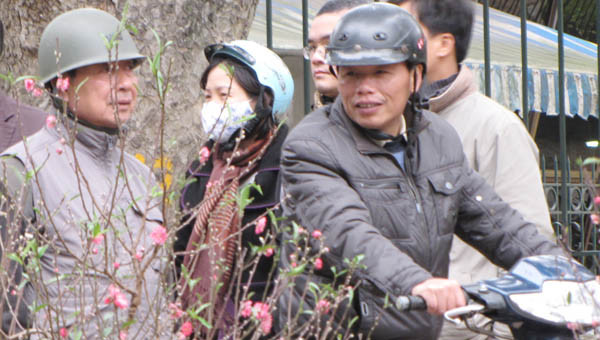 Mua đào chiều ngày Tất niên, hy vọng kiếm được đào rẻ, nhưng nhiều người vẫn bất ngờ với mức giá khá cao