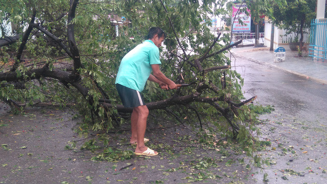 Bão số 4 đổ bộ Quảng Trị rồi suy yếu thành áp thấp ảnh 17