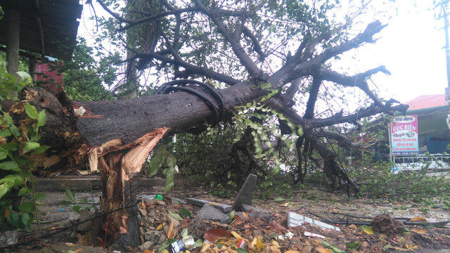 Bão số 4 đổ bộ Quảng Trị rồi suy yếu thành áp thấp ảnh 18