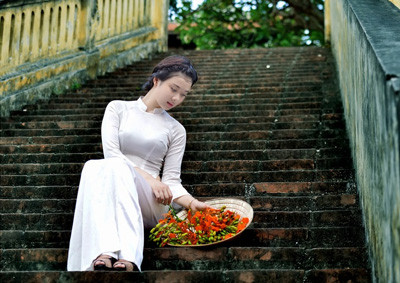 Nữ sinh Kinh tế mộng mơ bên phượng hồng rực đỏ ảnh 8