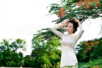 Nữ sinh Kinh tế mộng mơ bên phượng hồng rực đỏ ảnh 2