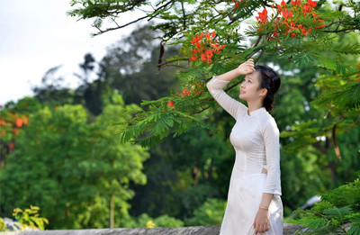 Nữ sinh Kinh tế mộng mơ bên phượng hồng rực đỏ ảnh 4