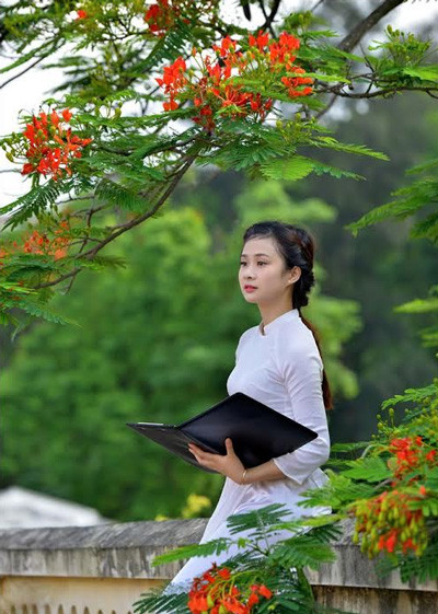 Nữ sinh Kinh tế mộng mơ bên phượng hồng rực đỏ ảnh 3