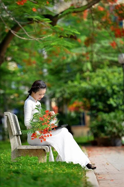 Nữ sinh Kinh tế mộng mơ bên phượng hồng rực đỏ ảnh 6