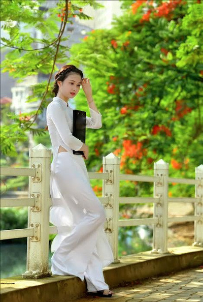 Nữ sinh Kinh tế mộng mơ bên phượng hồng rực đỏ ảnh 7