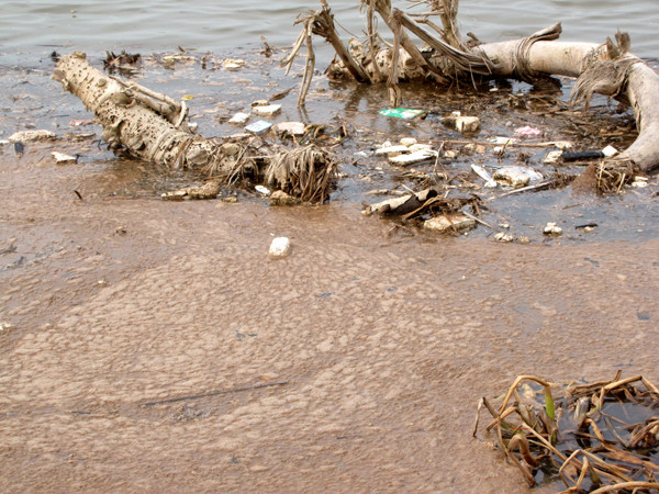 Nước biển ô nhiễm nghiêm trọng