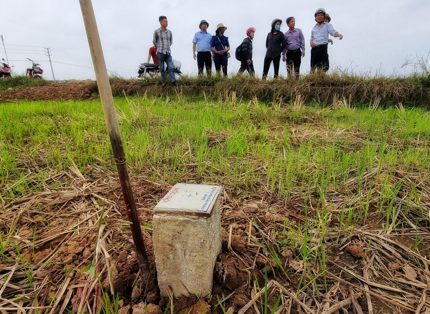 Trao đổi với Zing, đại diện Ban Quản lý dự án đầu tư xây dựng công trình giao thông Hà Nội cho biết dự kiến đến 15/12, ban sẽ hoàn tất bàn giao 2.700 cọc giải phóng mặt bằng cho các địa phương để tiến hành thu hồi đất. Cọc có chất liệu bê tông, trên mặt ghi "Sở Tài nguyên và Môi trường Hà Nội + mốc giới".