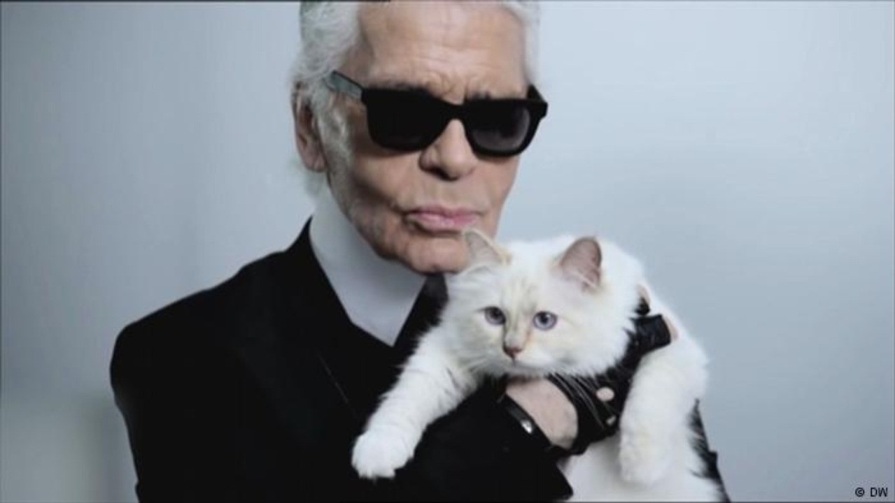 Lagerfeld không còn công khai yêu đương ai sau de Bascher, dành hết sự chiều chuộng cho thú cưng. Ảnh: ivory-ngChoupette.