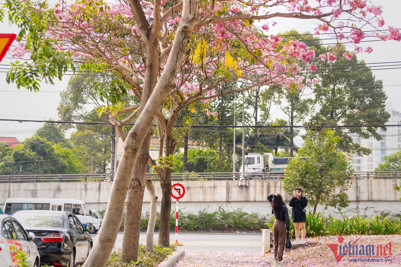 Hai bạn trẻ đang chụp ảnh lưu niệm với hoa kèn hồng.