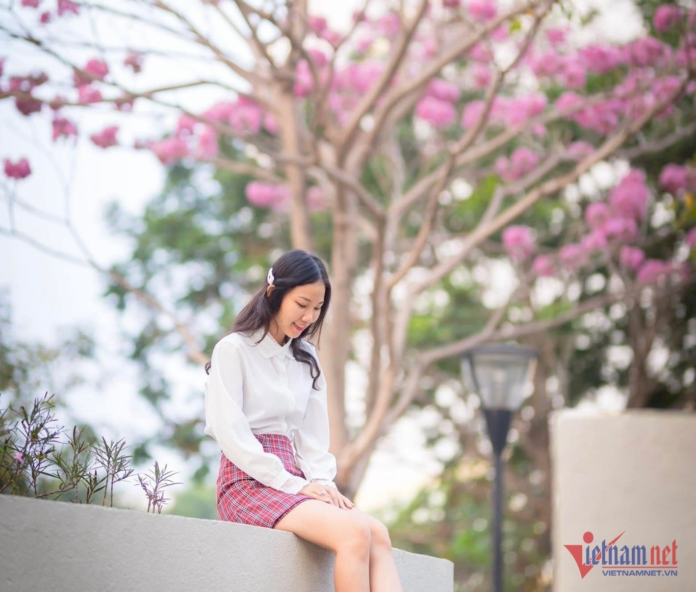 Một bạn nữ tạo dáng chụp ảnh với con đường kèn hồng ở TP Biên Hoà.