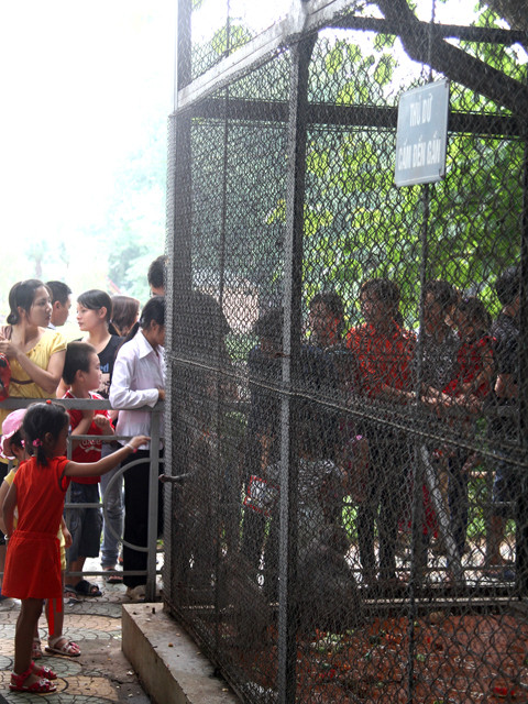 Dù có biển cảnh báo 