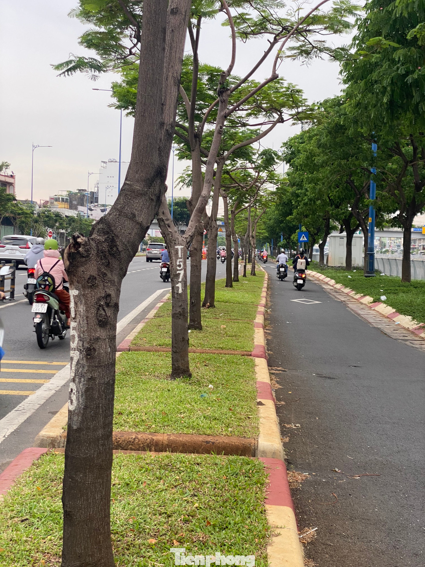 Do đó, theo chủ đầu tư, việc phá bỏ dải phân cách cứng giữa hai làn xe hai bánh là để đồng bộ mặt cắt ngang tại làn xe trên toàn tuyến, đồng thời điều chỉnh bề rộng làn xe ô tô.