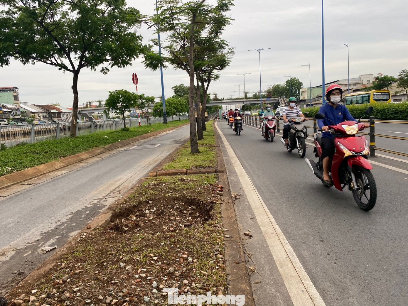 Trung tâm Quản lý điều hành giao thông đô thị TPHCM cho biết các đơn vị sẽ di dời (bứng dưỡng, trồng lại) 48 cây xanh (me, lim sét), đốn hạ 188 cây xanh già cỗi, sinh trưởng kém (long não, phượng vỹ) bị ảnh hưởng bởi dự án.