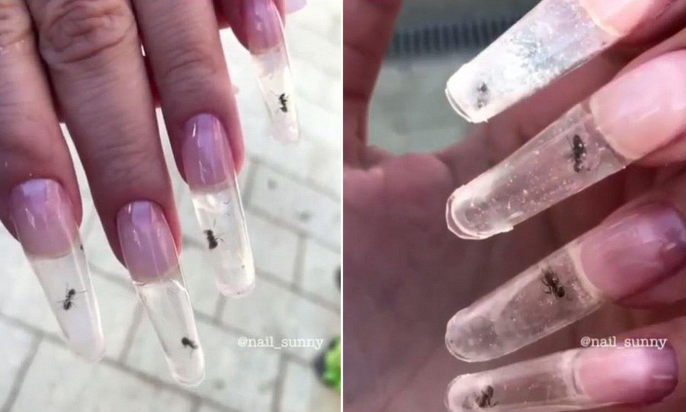 Những mẫu nail kỳ dị được Nail Sunny "khoe lên" trước kia. Những mẫu nail kỳ dị được Nail Sunny "khoe lên" trước kia.