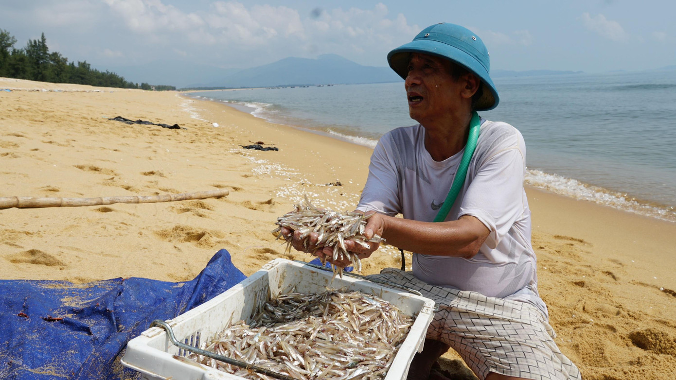 Ngư dân vui mừng khoe cá cơm vừa đánh bắt được