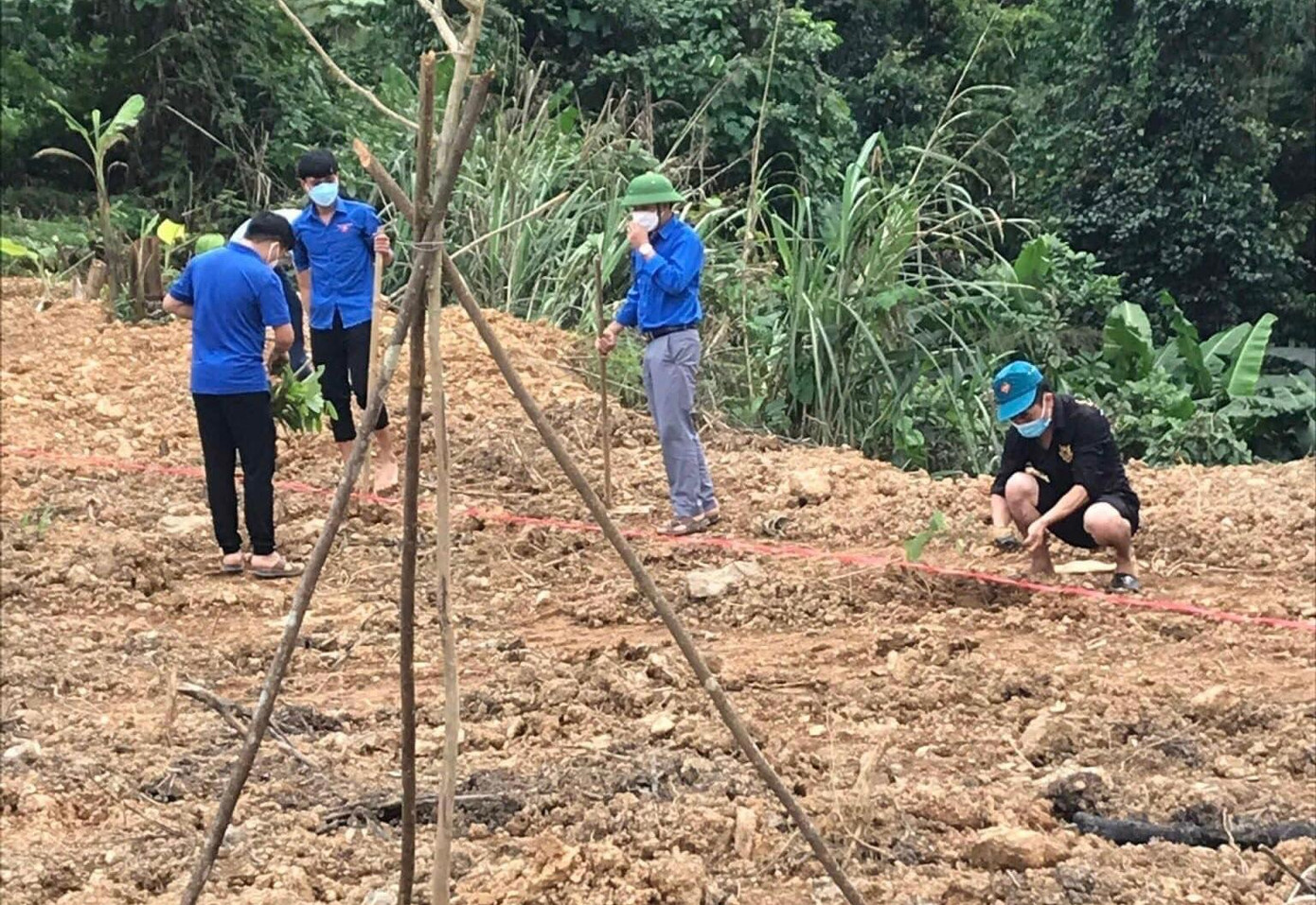 Thanh niên vùng cao được hỗ trợ phát triển trồng rừng kinh tế khởi nghiệp