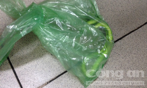 Một phụ nữ bị rắn lục núp dưới tủ cắn trọng thương ảnh 1