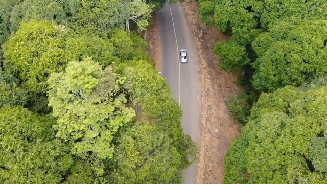 Vào những ngày nắng nóng, khi đi vào tuyến đường Xuân Sơn – Đá Bạc đến giữa khu rừng được bao phủ bởi những hàng cây thẳng tắp, sẽ cảm nhận được luồng khí mát lạnh, cảm giác dễ chịu, sảng khoái.