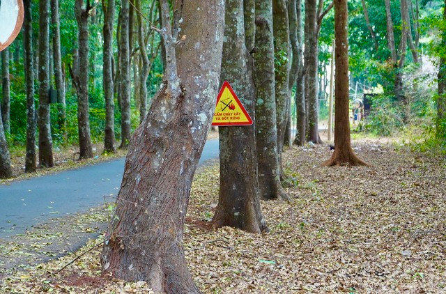 Rừng Xuân Sơn thuộc dạng rừng vùng đồi thấp, có đường giao thông thuận tiện ra vào rừng, giáp với đất nông nghiệp và dân cư sinh sống bao quanh nên công tác bảo vệ rừng luôn được coi trọng.