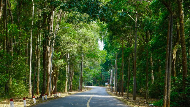 Rừng phòng hộ Xuân Sơn nằm trên địa bàn huyện Châu Đức (tỉnh Bà Rịa – Vũng Tàu) là khu rừng trồng từ năm 1980 theo chương trình phủ xanh đất trống, đồi trọc và trồng rừng tái sinh.