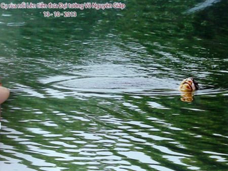 Bức ảnh PGS.TS Hà Đình Đức cung cấp cho báo Tiền Phong. Bức ảnh PGS.TS Hà Đình Đức cung cấp cho báo Tiền Phong