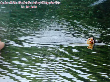 Bức ảnh PGS.TS Hà Đình Đức cung cấp cho báo Tiền Phong