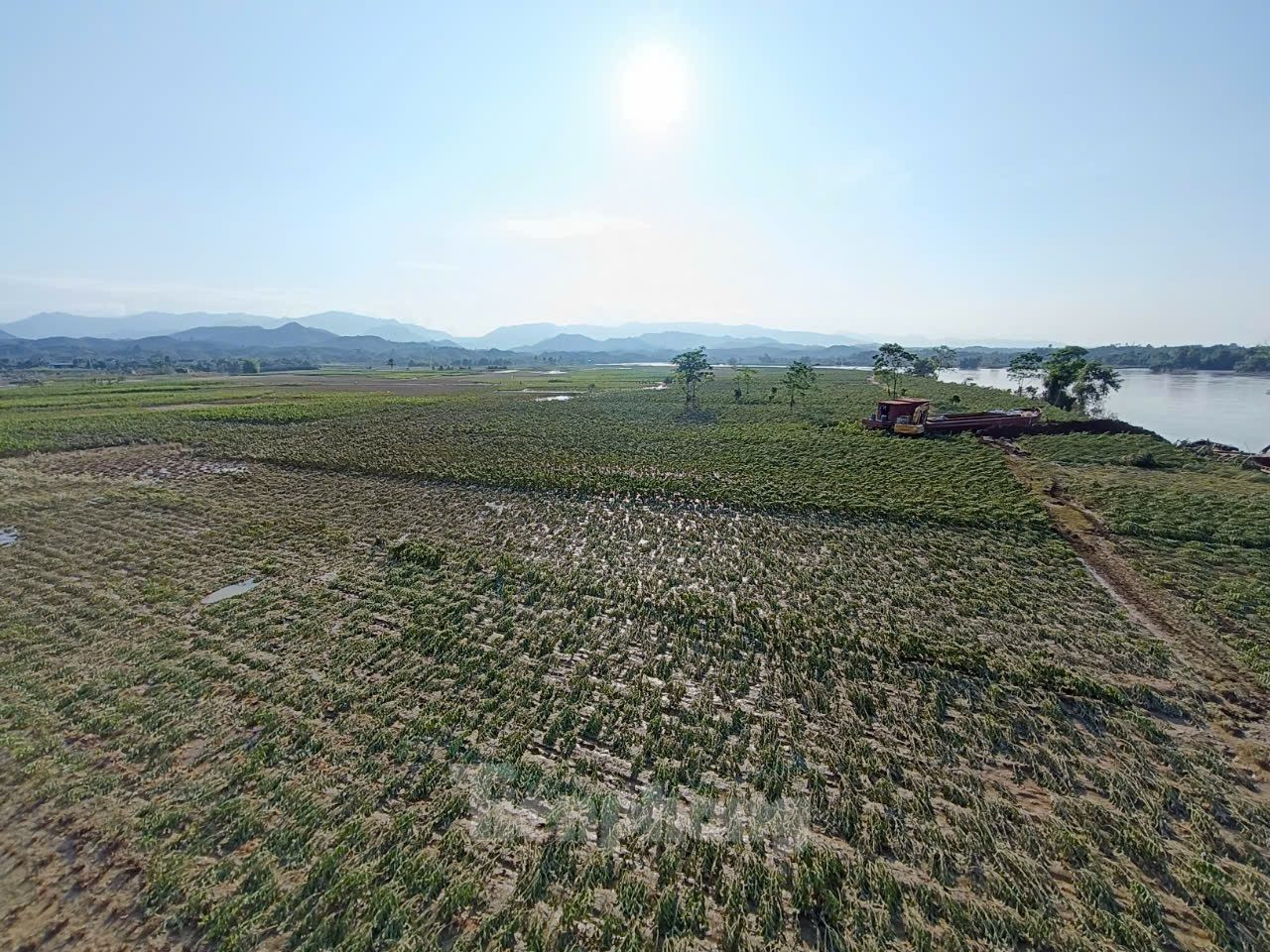 Đời sống của 90% người dân trong xã dựa vào sản xuất nông, lâm nghiệp, với tình trạng này, cuộc sống của bà con trong thời gian tới sẽ rất khăn, ông Trình cho biết thêm.