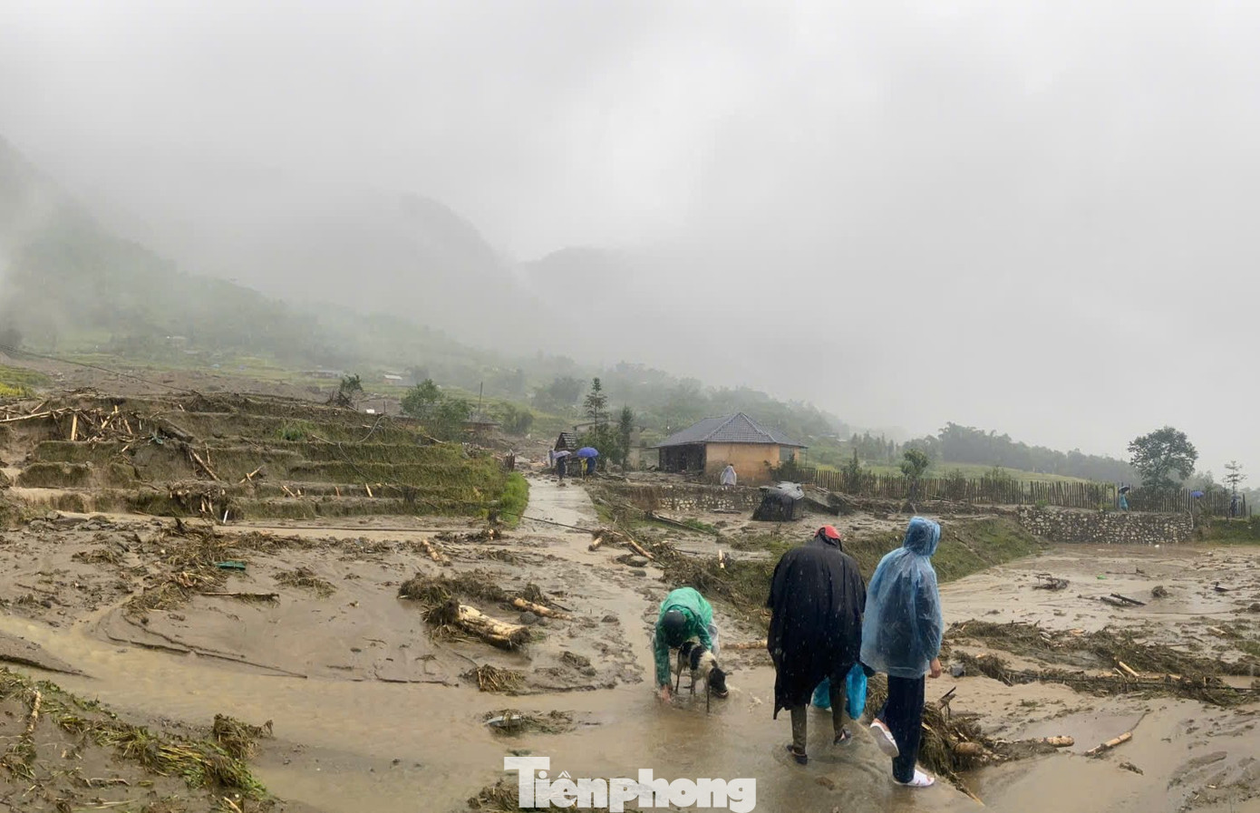 Vụ sạt lở khiến nhiều diện tích hoa màu bị vùi lấp, nhiều tài sản của người dân bị cuốn trôi, khiến 4 người bị chết, cùng nhiều người bị thương và mất tích.