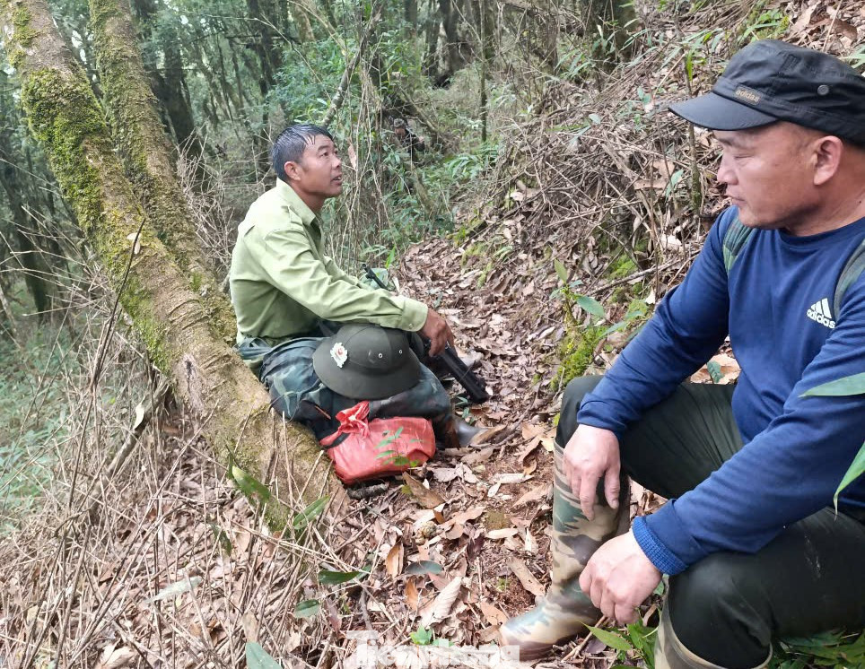 Lực lượng kiểm lâm cùng với các thành viên trong tổ tuần tra thường xuyên phải vượt suối, băng rừng để bảo vệ những cánh rừng xanh.